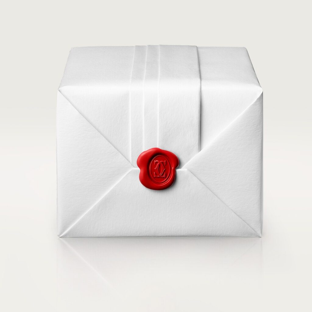 Santos-Dumont watch WSSA0046