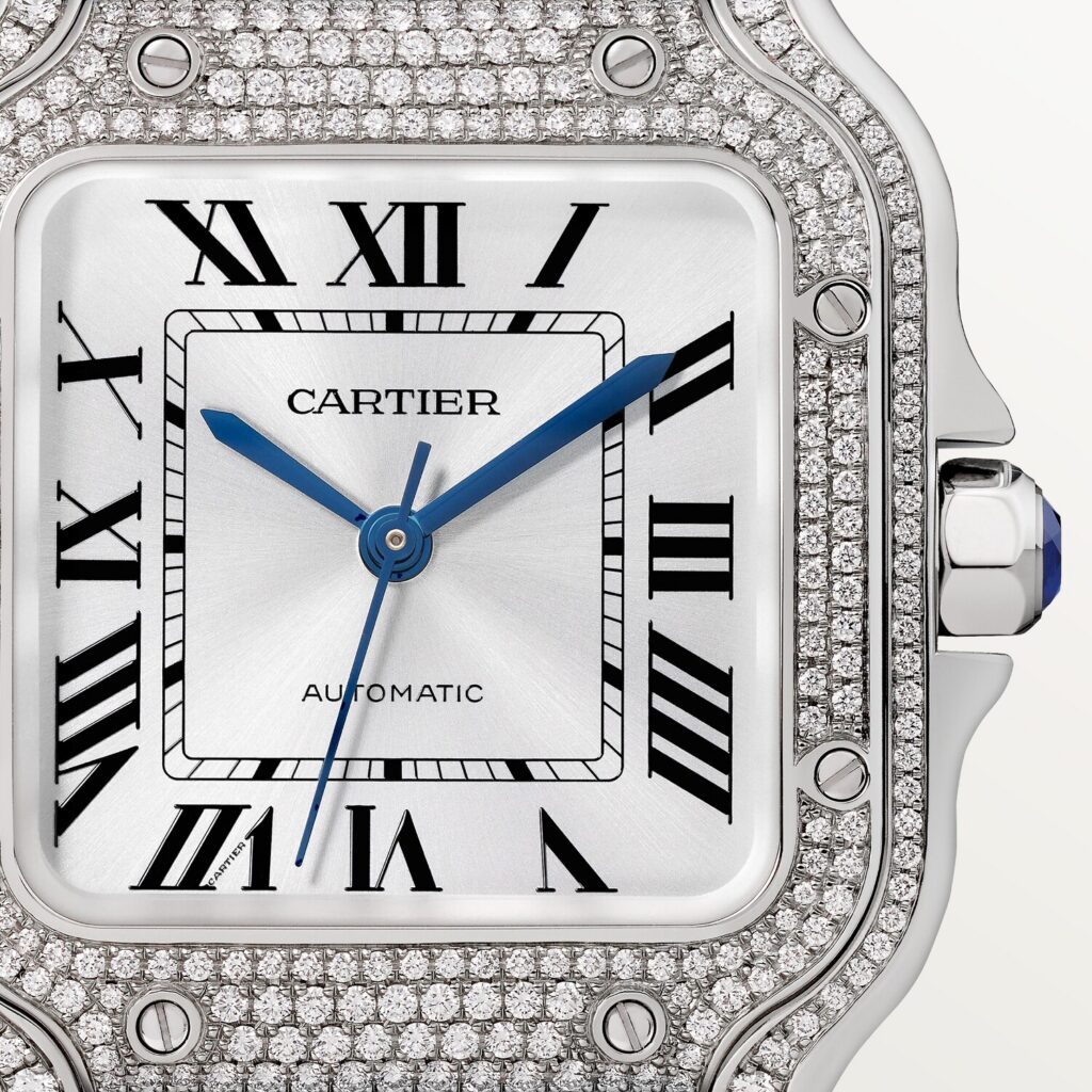 Santos de Cartier watch WJSA0014
