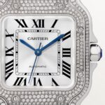 Santos de Cartier watch WJSA0014
