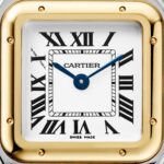 Panthere de Cartier watch, small model W2PN0013