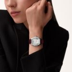 Tortue watch WGTO0008