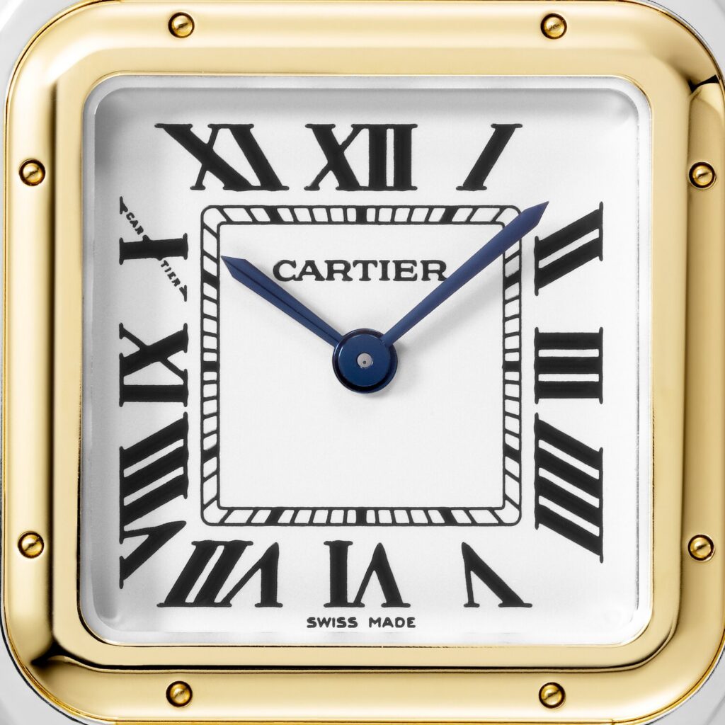 Panthere de Cartier watch W2PN0014
