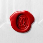 Santos de Cartier watch WSSA0037