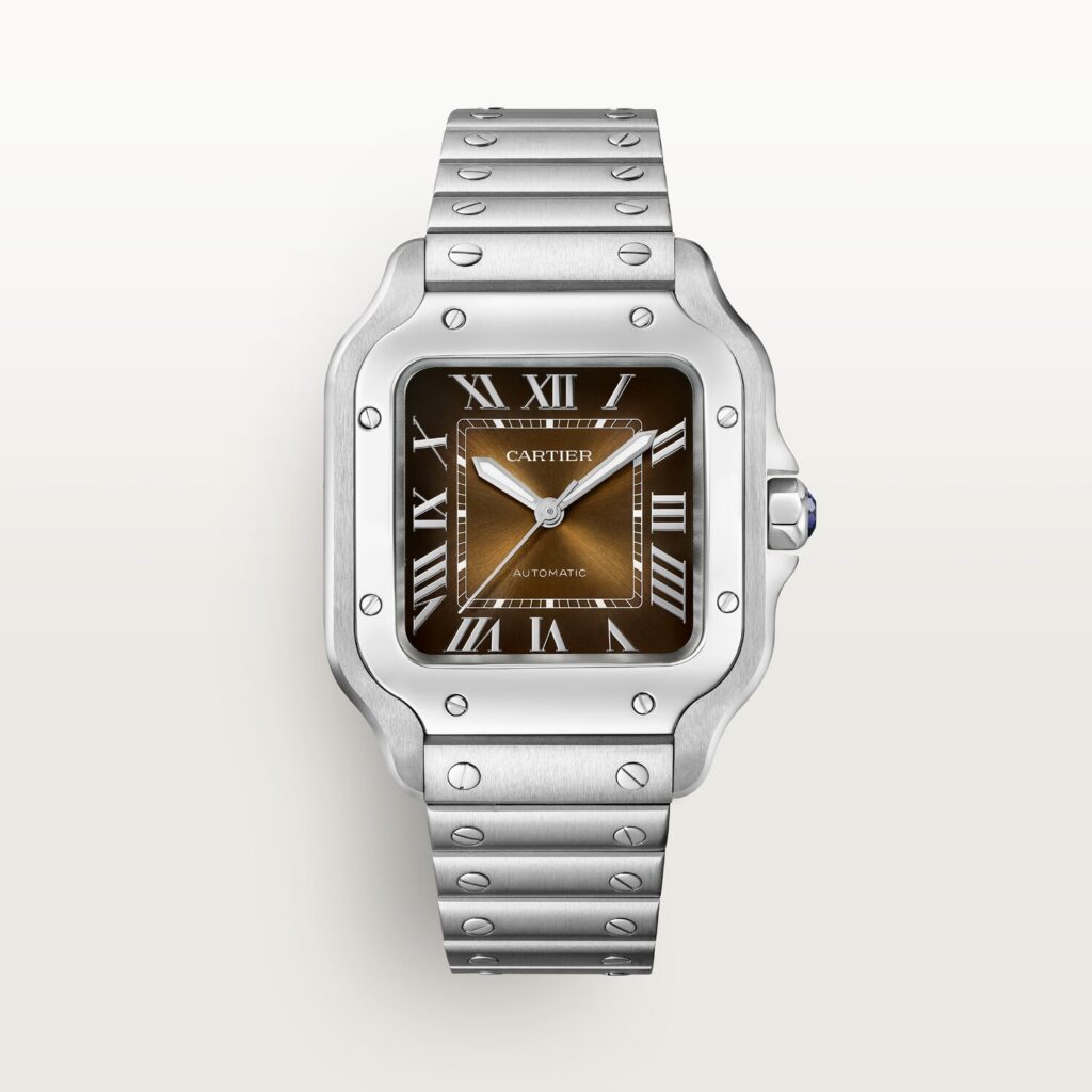Santos de Cartier watch WSSA0065