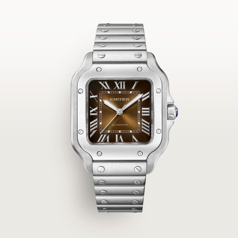 Santos de Cartier watch WSSA0065