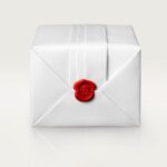 Santos de Cartier watch W2SA0016