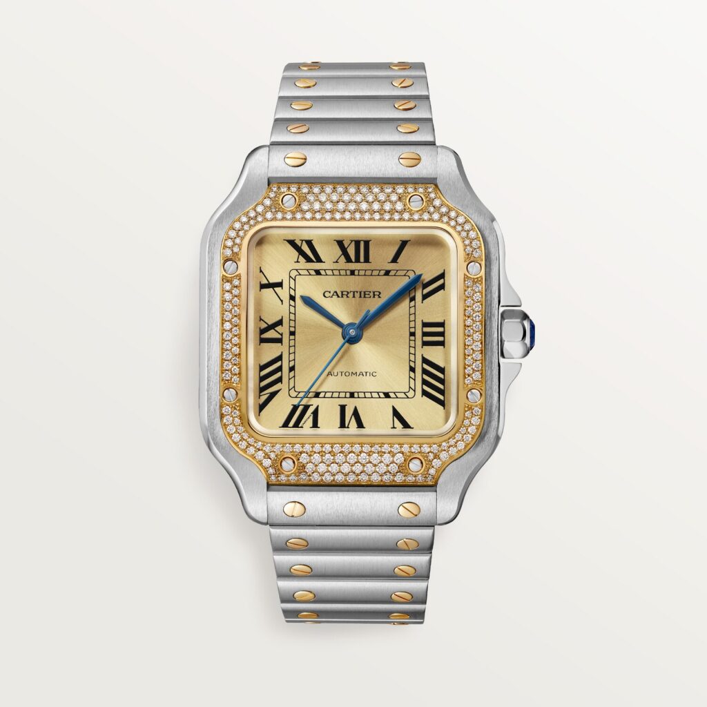 Santos de Cartier watch W3SA0007