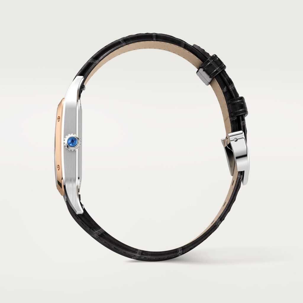 Santos-Dumont watch W2SA0038