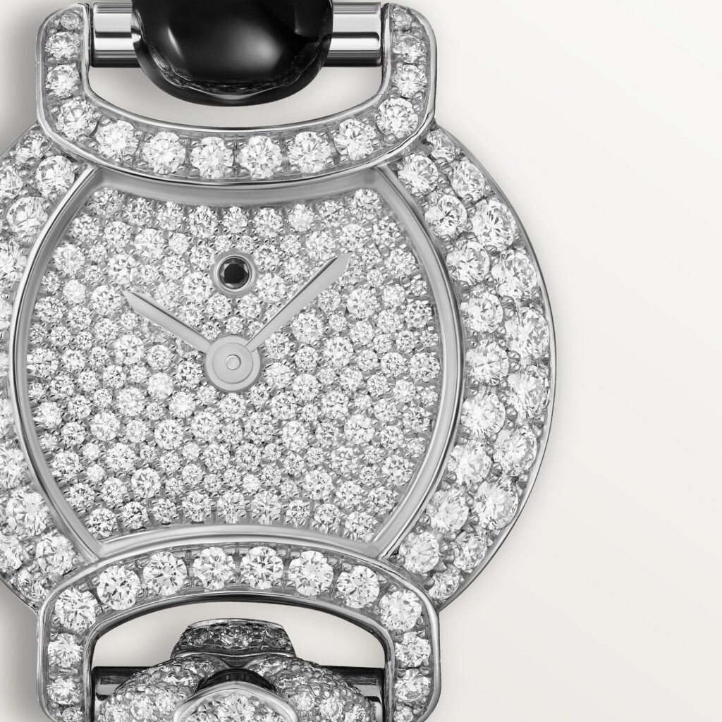 Indomptables de Cartier Watch HPI01454