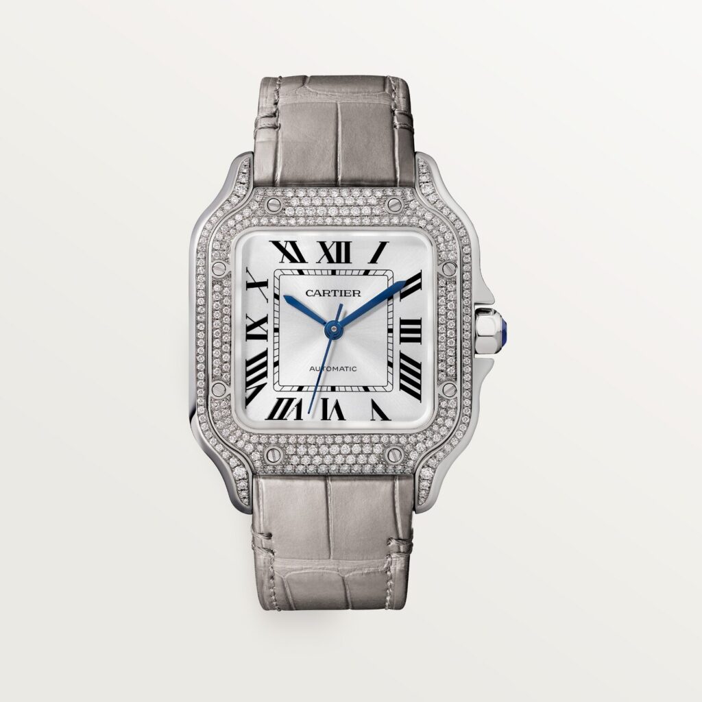 Santos de Cartier watch WJSA0014