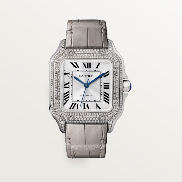 Santos de Cartier watch WJSA0014