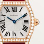 Tortue watch WA501006