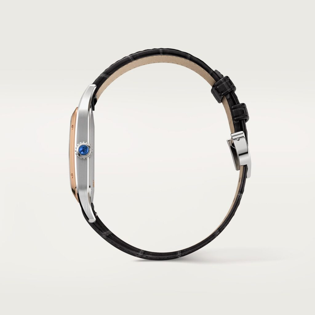 Santos-Dumont watch W2SA0037