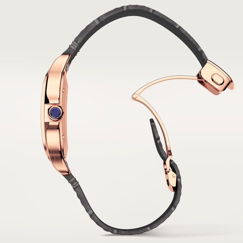 Santos de Cartier watch WGSA0019