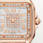 Panthere de Cartier watch, small model WJPN0077