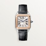 Santos-Dumont watch W2SA0038