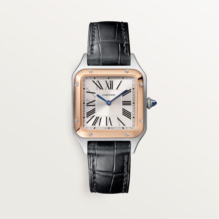Santos-Dumont watch W2SA0038