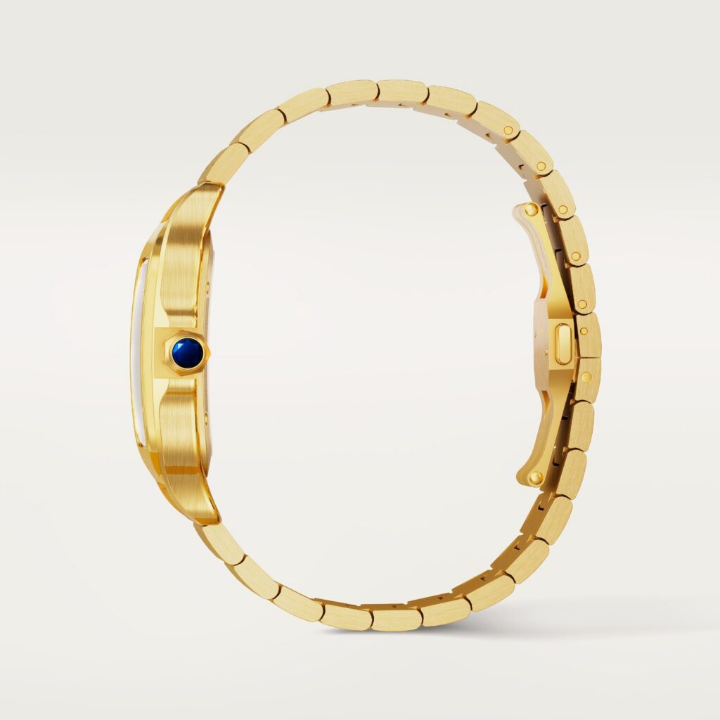 Santos de Cartier watch WHSA0042