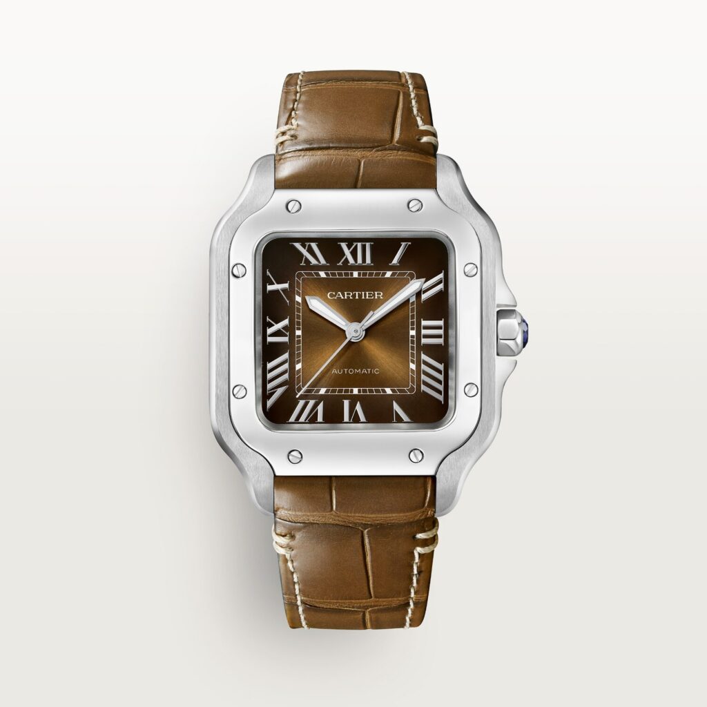 Santos de Cartier watch WSSA0065