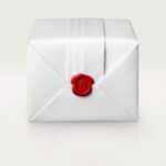 Santos de Cartier skeleton watch WHSA0016