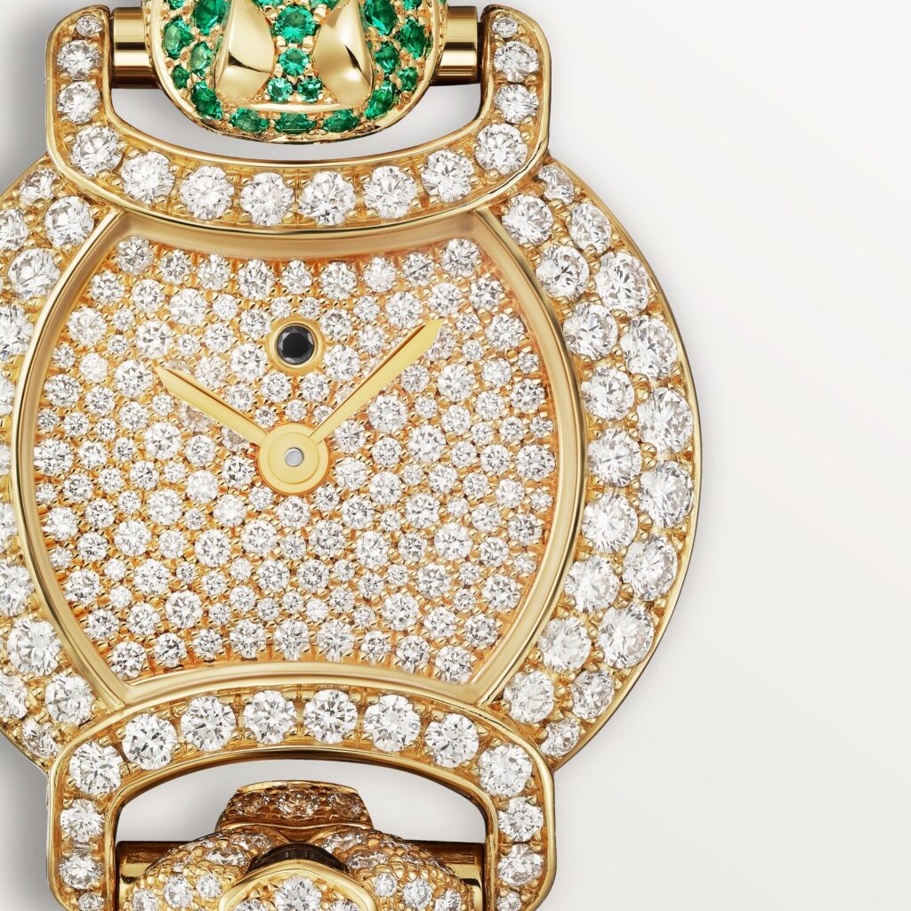 Indomptables de Cartier Watch HPI01451