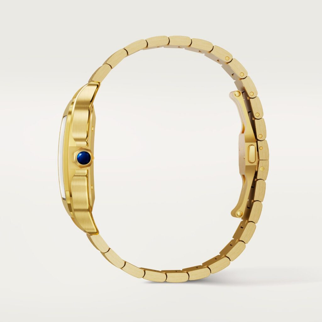 Santos de Cartier watch WGSA0095