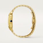 Santos de Cartier watch WGSA0095