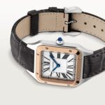 Santos-Dumont watch W2SA0038