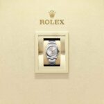 Rolex Oyster Perpetual 34 124200-0001
