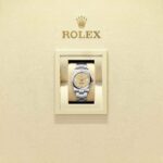 Rolex Oyster Perpetual 34 124200-0007
