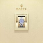 Rolex Oyster Perpetual 34 124200-0008
