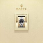 Rolex Oyster Perpetual 34 124200-0010