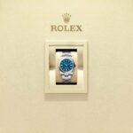 Rolex Oyster Perpetual 34 124200-0011