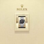 Rolex Explorer 36 124270-0001