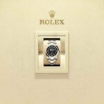 Rolex Explorer 36 124273-0001