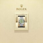 Rolex Oyster Perpetual 36 126000-0011