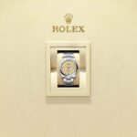 Rolex Oyster Perpetual 36 126000-0012