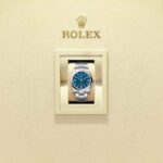Rolex Oyster Perpetual 36 126000-0015