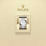 Rolex Datejust 41 126300-0015