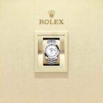 Rolex Datejust 41 126300-0016