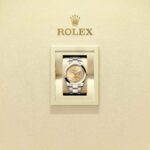 Rolex Datejust 41 126303-0009