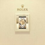 Rolex Datejust 41 126303-0011