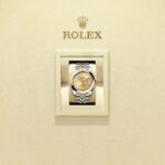 Rolex Datejust 41 126303-0012