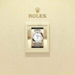 Rolex Datejust 41 126303-0016