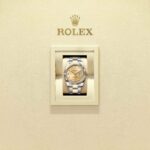 Rolex Datejust 41 126333-0011