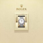 Rolex Datejust 41 126334-0024