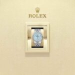 Rolex Land-Dweller 36 127286TBR-0001