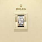 Rolex Oyster Perpetual 41 134300-0001