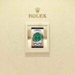 Rolex Oyster Perpetual 41 134300-0004