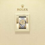Rolex Oyster Perpetual 41 134300-0007